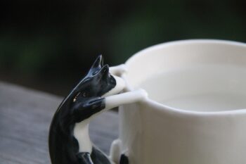 Cat Mug-02
