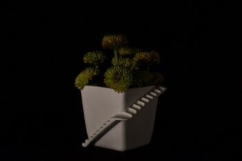 Stairs Flower Pot